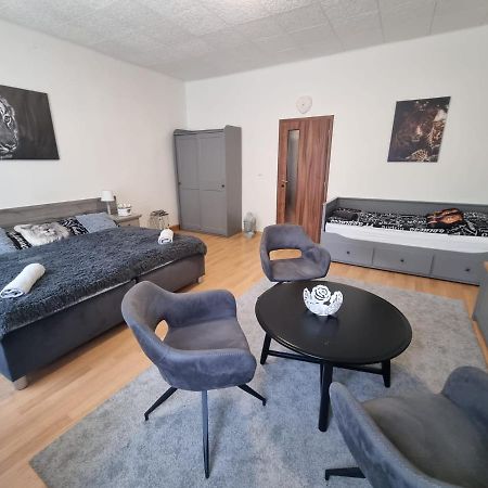 Cerny Tulipan - Apartman 1 Pilsen Exterior foto