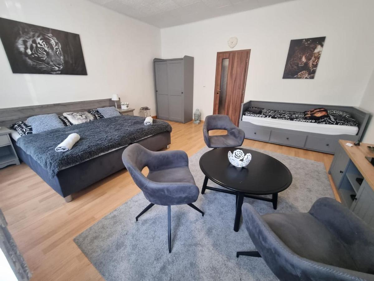 Cerny Tulipan - Apartman 1 Pilsen Exterior foto